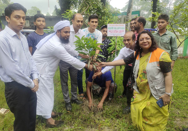 আমতলীতে ছয়’শ পরিবারের মাঝে গাছের চারা বিতরণ