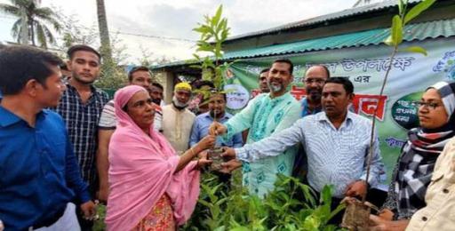 গলাচিপায় বিশ^ পরিবেশ দিবসে চারা বিতরণ