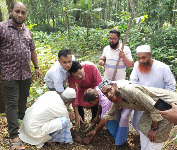 কাউখালীতে তাল গাছের চারা রোপণ