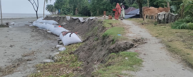 তজুমদ্দিনে বেড়িবাঁধ ভাঙ্গনের শঙ্কায় উদ্বিগ্ন এলাকাবাসি