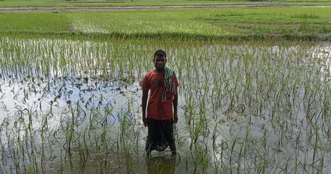 গলাচিপার পৈত্রিক সম্পত্তি জবরদখল চেষ্টার অভিযোগ!