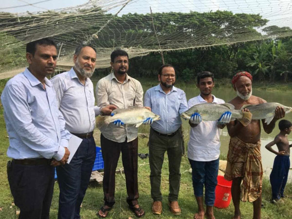 পবিপ্রবি‘র মৎস্য বিজ্ঞানীদের ‘কোরাল‘ গবেষনায় ব্যপক সফলতা!