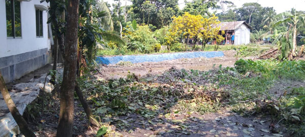 নেছারাবাদে প্রভাবশালির বিরুদ্ধে জমি দখলের অভিযোগ