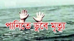 নেছারাবাদে পানিতে ডুবে শিশুর মৃত্যু