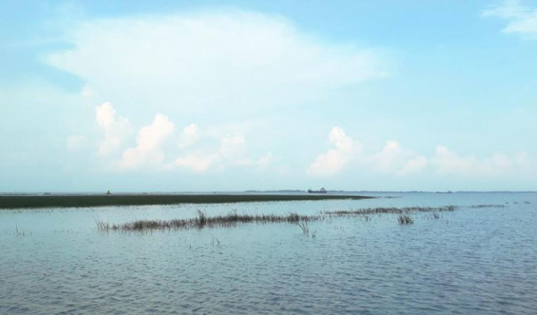 চরফ্যাশনে মেঘনা-তেতুলিয়ায় ডুবোচর, নৌ-যান চলাচলে ভোগান্তি