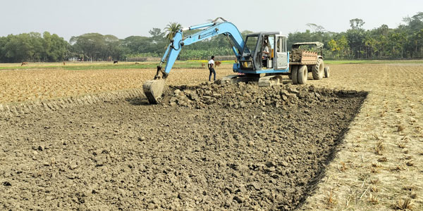 আমতলীতে ফসলি জমির মাটি কেটে ইটভাটায়!