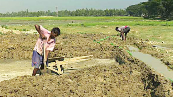 গৌরনদীতে মাটি কেটে নেয়ায় ইটভাটার মালিকসহ গ্রেফতার-২