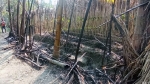 নেছারাবাদে জামিনে এসে বাদির পানের বরজে আগুন!