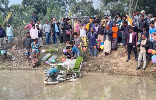 ফুলবাড়ীতে রাইস ট্রান্সপ্লান্টারে বোরো রোপণ উদ্বোধন