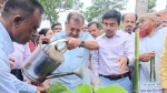 তথ্য ও সম্প্রচারমন্ত্রীর হাতে গৌরনদীতে বৃক্ষমেলার উদ্বোধন, বৃক্ষরোপণ ও ক্রীড়া সামগ্রী বিতরণ