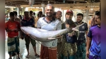 কুয়াকাটায় জেলের জালে ২৯ কেজির বিরল ইয়েলোফিন টুনা, বিক্রি ৪০ হাজার টাকায়