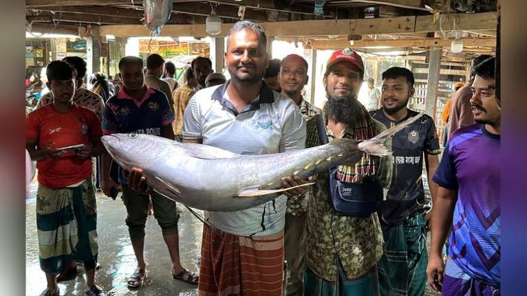 কুয়াকাটায় জেলের জালে ২৯ কেজির বিরল ইয়েলোফিন টুনা, বিক্রি ৪০ হাজার টাকায়