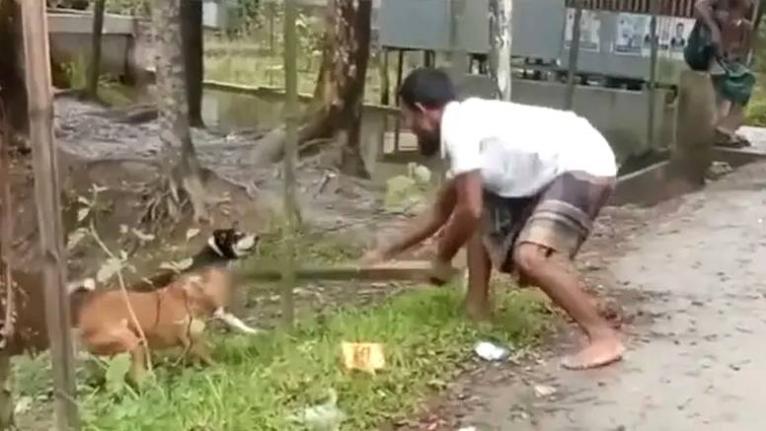 বৈদ্যুতিক খুঁটির সঙ্গে বেঁধে দুটি কুকুরকে পিটিয়ে হত্যা করা হয়। ছড়িয়ে পড়া ভিডিও থেকে ছবি নেওয়া