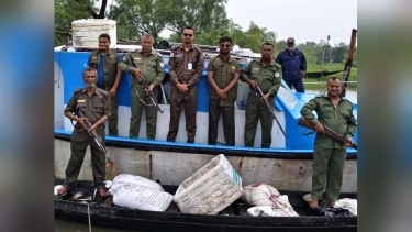 সুন্দরবনে চোরা শিকারিদের দৌরাত্ম্য, এক বছরে গ্রেপ্তার ৩৯৬