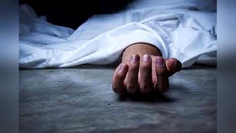 হাঁসে ধান খাওয়াকে কেন্দ্র করে নাতির লাথিতে নানির মৃত্যু