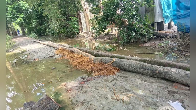 রাস্তা নেই, ভরসা এখন সাঁকো দুমকির মুরাদিয়ায় চরম দুর্ভোগে হাজারো মানুষ
