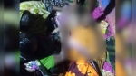 গলাচিপায় অটোরিকশার চাকায় ওড়না পেঁচিয়ে শিশুর মৃত্যু