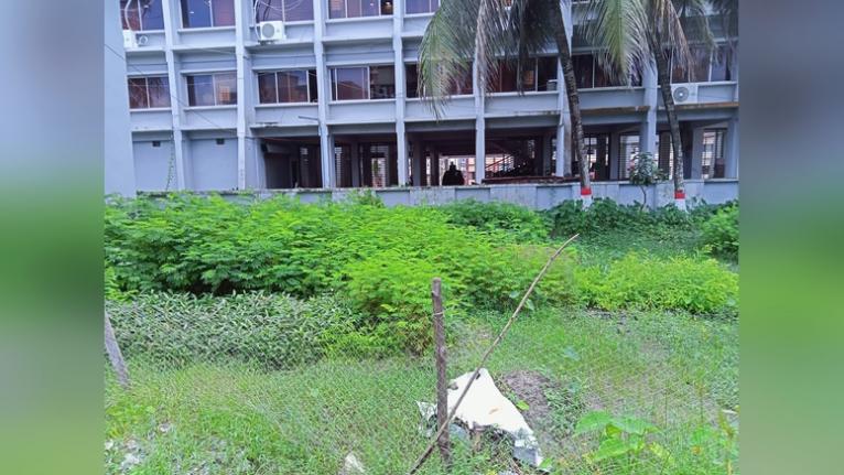 বেতাগীতে অপরিসর ও অরক্ষিত জায়গায় স্থাপিত উপজেলা বন বিভাগের নার্সারি। আগাছার মধ্যে বেড়ে উঠছে কিছু চারা। শনিবার দুপুরে তোলা।