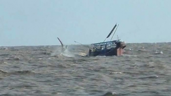 পায়রা বন্দর সংলগ্ন বঙ্গোপসাগরে ঝড়ের কবলে মাছধরা ট্রলার ডুবি, ১০ জেলে উদ্ধার