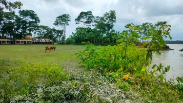 বিষখালীর ভাঙনে নলছিটিতে হুমকির মুখে দুই বিদ্যালয়