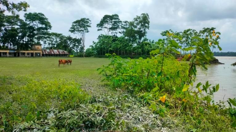 বিষখালীর ভাঙনে নলছিটিতে হুমকির মুখে দুই বিদ্যালয়