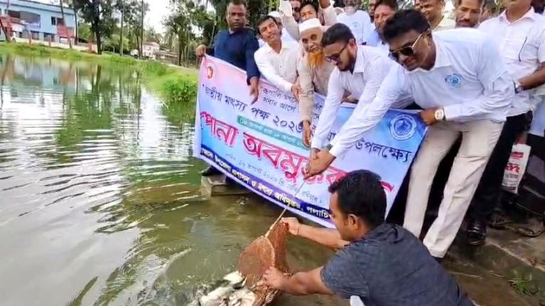 গলাচিপায় জাতীয় মৎস্য পক্ষ উদযাপন