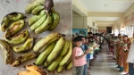 পচা কলা, পুরোনো বানরুটি ও নষ্ট সেদ্ধ ডিমে মনপুরার মিড ডে মিল