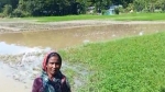 গলাচিপায় জালিয়াতির মাধ্যমে জমি দখলের অভিযোগ প্রভাবশালীদের বিরুদ্ধে