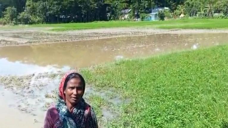 গলাচিপায় জালিয়াতির মাধ্যমে জমি দখলের অভিযোগ প্রভাবশালীদের বিরুদ্ধে