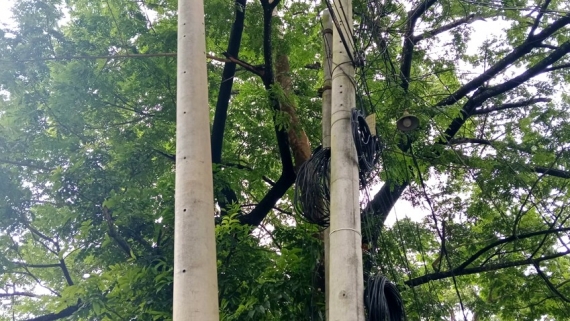 কলাপাড়ায় বিদ্যুতের খুঁটি বসানোর নামে অর্থ আদায়ের অভিযোগ যুবদল নেতার বিরুদ্ধে
