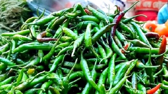 কাঁচা মরিচের দাম নিয়ন্ত্রণে আমদানির অনুমতি, সোমবার থেকেই শুরু