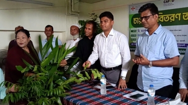 জলবায়ু সহনশীলতা বাড়াতে মহিপুরে নারী-কৃষকদের মাঝে ৩ হাজার চারা বিতরণ