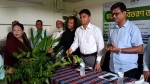 জলবায়ু সহনশীলতা বাড়াতে মহিপুরে নারী-কৃষকদের মাঝে ৩ হাজার চারা বিতরণ
