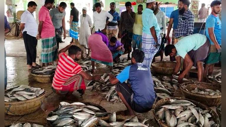 কুয়াকাটার আলীপুর মৎস্য বন্দরে এমনই দৈনন্দিন চিত্র। ছবিটি আলীপুর বিএফডিসি মৎস্য অবতরণ কেন্দ্রের। সংগৃহীত ছবি