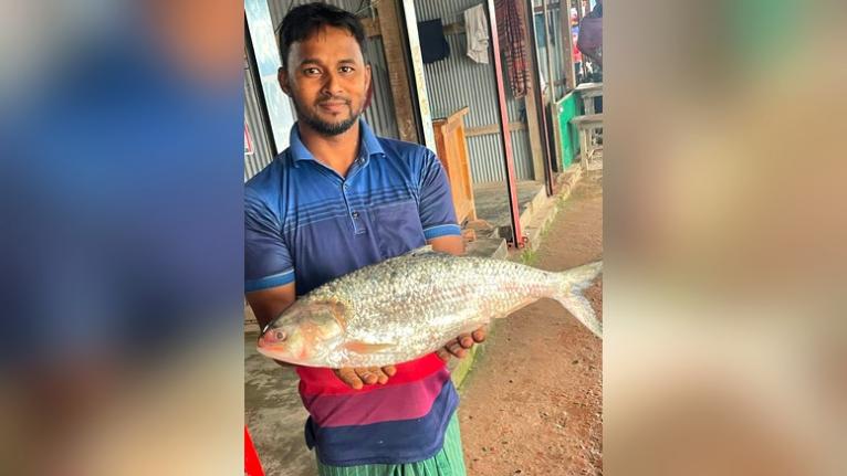 সাগর মোহনায় ধরা পড়ল ২ কেজি ৬০০ গ্রামের ‘রাজা ইলিশ’, বিক্রি ১৪ হাজার টাকায়