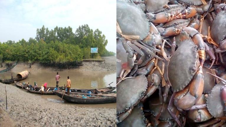 প্রতীকী ছবিটি সংগৃহীত