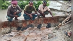 নিষেধাজ্ঞা অমান্য করে মাছ শিকার, শাপলাপাতা মাছসহ ৬ জেলে আটক
