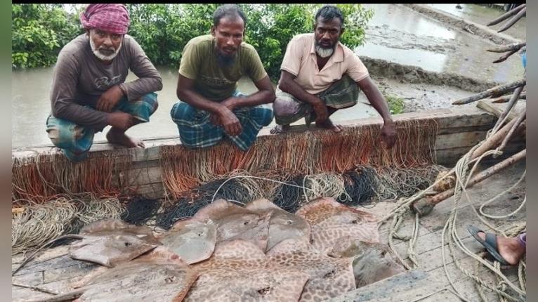 নিষেধাজ্ঞা অমান্য করে মাছ শিকার, শাপলাপাতা মাছসহ ৬ জেলে আটক