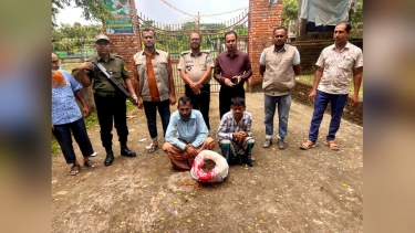 মোরেলগঞ্জে ৪ কেজি গাঁজাসহ আটক ২