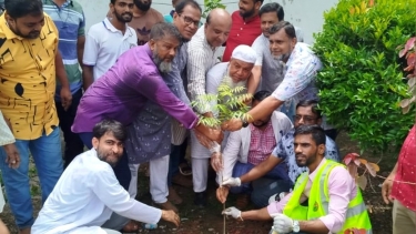 নেছারাবাদে স্বেচ্ছাসেবক দলের বৃক্ষরোপণ ও পরিচ্ছন্নতা কর্মসূচি