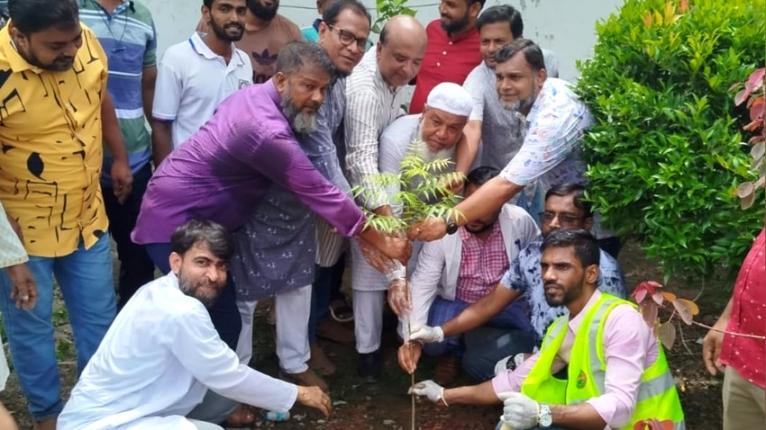 নেছারাবাদে স্বেচ্ছাসেবক দলের বৃক্ষরোপণ ও পরিচ্ছন্নতা কর্মসূচি