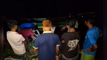 বাউফলে বিষ দেওয়া ঘাস খেয়ে ৩ মহিষের মৃত্যু, অসুস্থ ৩০