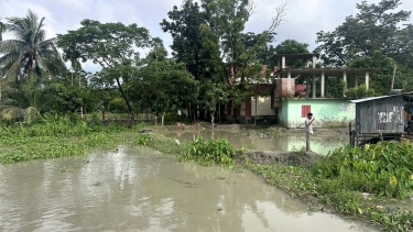 বাউফলে নদীভাঙনের ঝুঁকিতে তিন সরকারি প্রাথমিক বিদ্যালয়