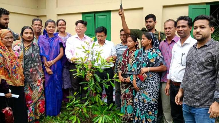 গৌরনদীতে সিসিডিবি প্রাঙ্গণে ইউএনওর বৃক্ষরোপণ, চারা বিতরণ
