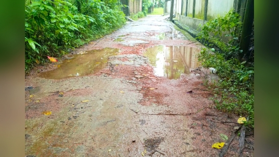বরগুনা পৌরসভার ২৮ কিলোমিটার সড়কের বেহালদশা