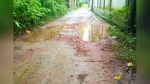 বরগুনা পৌরসভার ২৮ কিলোমিটার সড়কের বেহালদশা