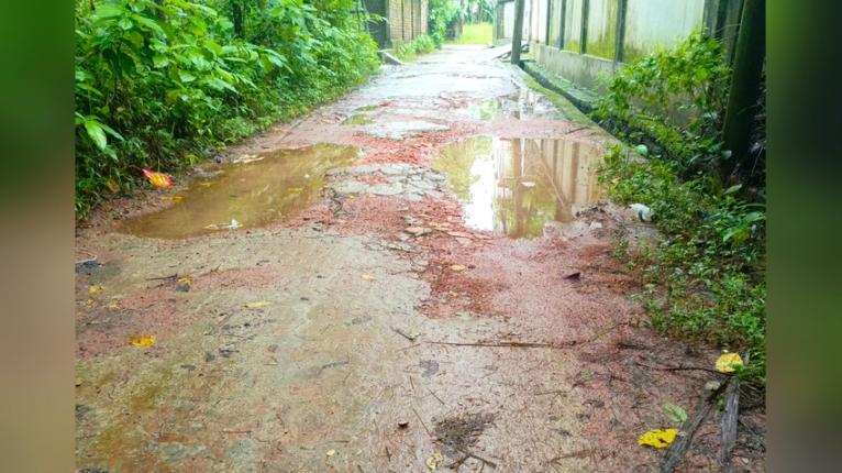 বরগুনা পৌরশহরে চরকলোনী সড়ক