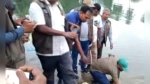গলাচিপায় ১৭টি সন্ধি কচ্ছপসহ একজন আটক