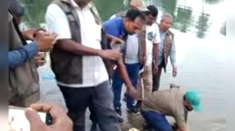 গলাচিপায় ১৭টি সন্ধি কচ্ছপসহ একজন আটক