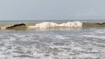 মৌসুমি নিম্নচাপে বৃষ্টি, পায়রাসহ ৪ সমুদ্রবন্দরে ৩ নম্বর সতর্ক সংকেত